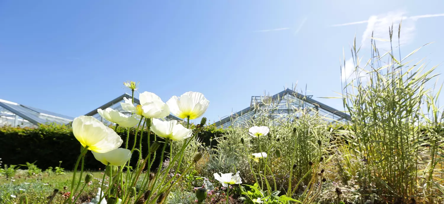 Les Jardins Suspendus du Havre