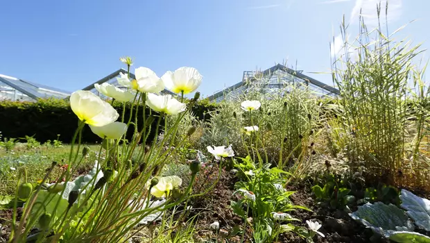 Les Jardins Suspendus du Havre